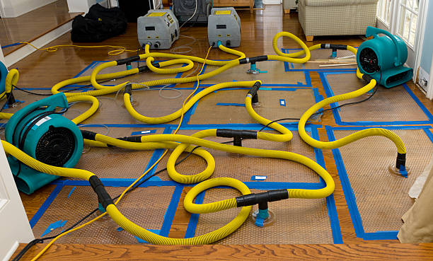 Professional Basement Flood Cleanup technician working in Osyka, MS